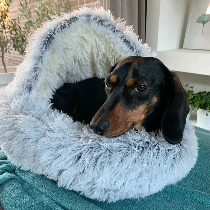 Cozy Pet Bed for Winter – Cuddle Cave Design with Warming Filling 4