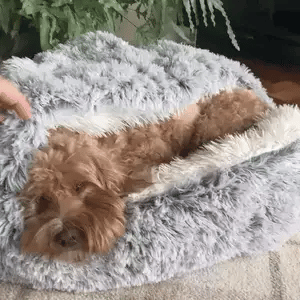 Cozy Pet Bed for Winter – Cuddle Cave Design with Warming Filling 7
