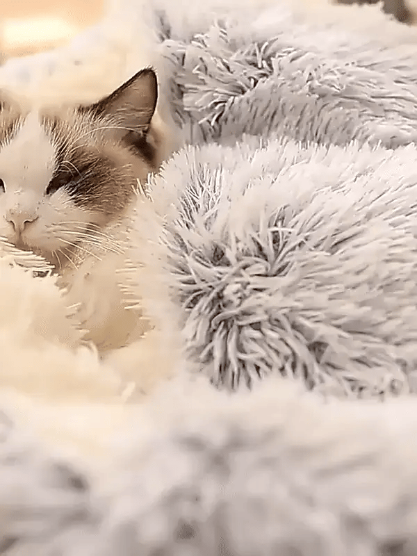 Cozy Pet Bed for Winter – Cuddle Cave Design with Warming Filling 9