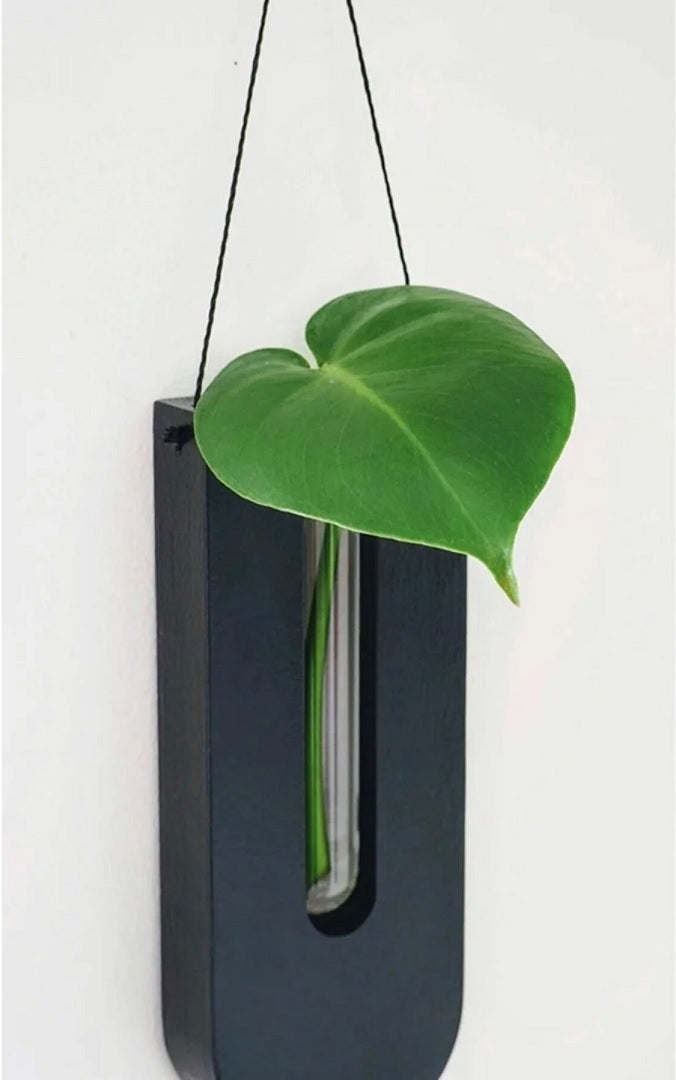 Robust Pine Wood Wall Planters – Ideal Indoor Plants with Simple Wall Mounting 2