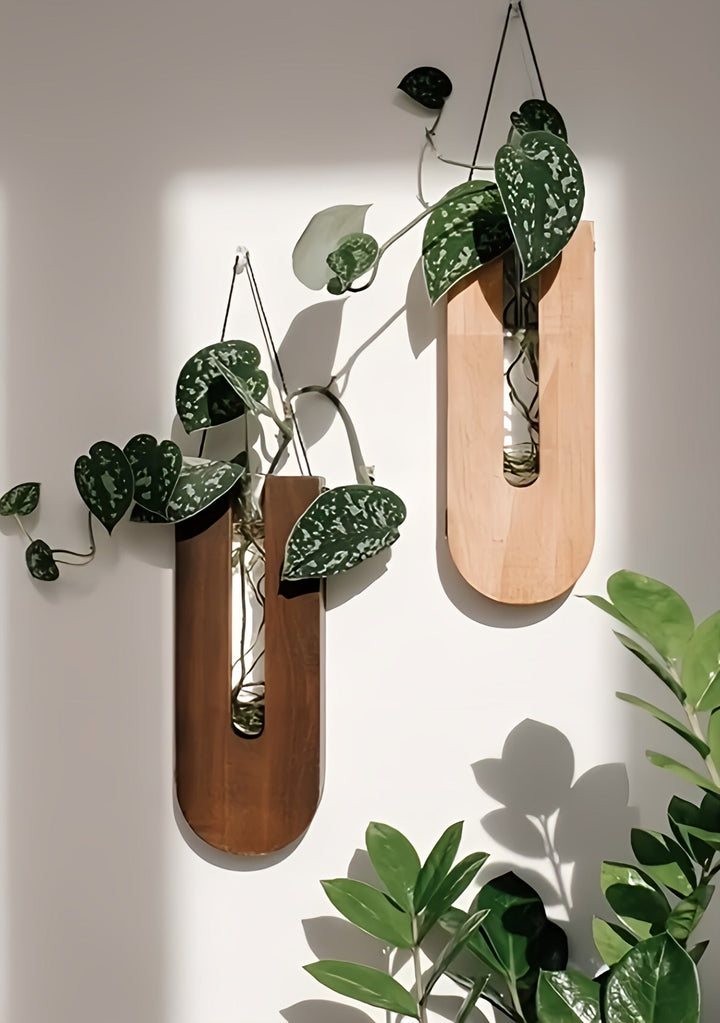 Robust Pine Wood Wall Planters – Ideal Indoor Plants with Simple Wall Mounting 4